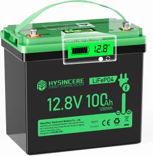 12V 100Ah LiFePO4 Battery Mini Deep Cycle Rechargeable Lithium Battery, Max.15000 Cycles Built in 100A BMS for RV, Trolling Motor, Camping, Marine, Solar, Home Energy Storage(1 Pack)