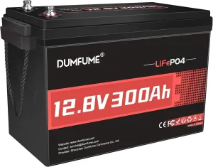 12V 300Ah Lithium LiFePO4 Battery,200A BMS 3840W Rechargeable Lithium Iron Phosphate Battery for Solar Energy Storage,Backup Power,RV,Camping
