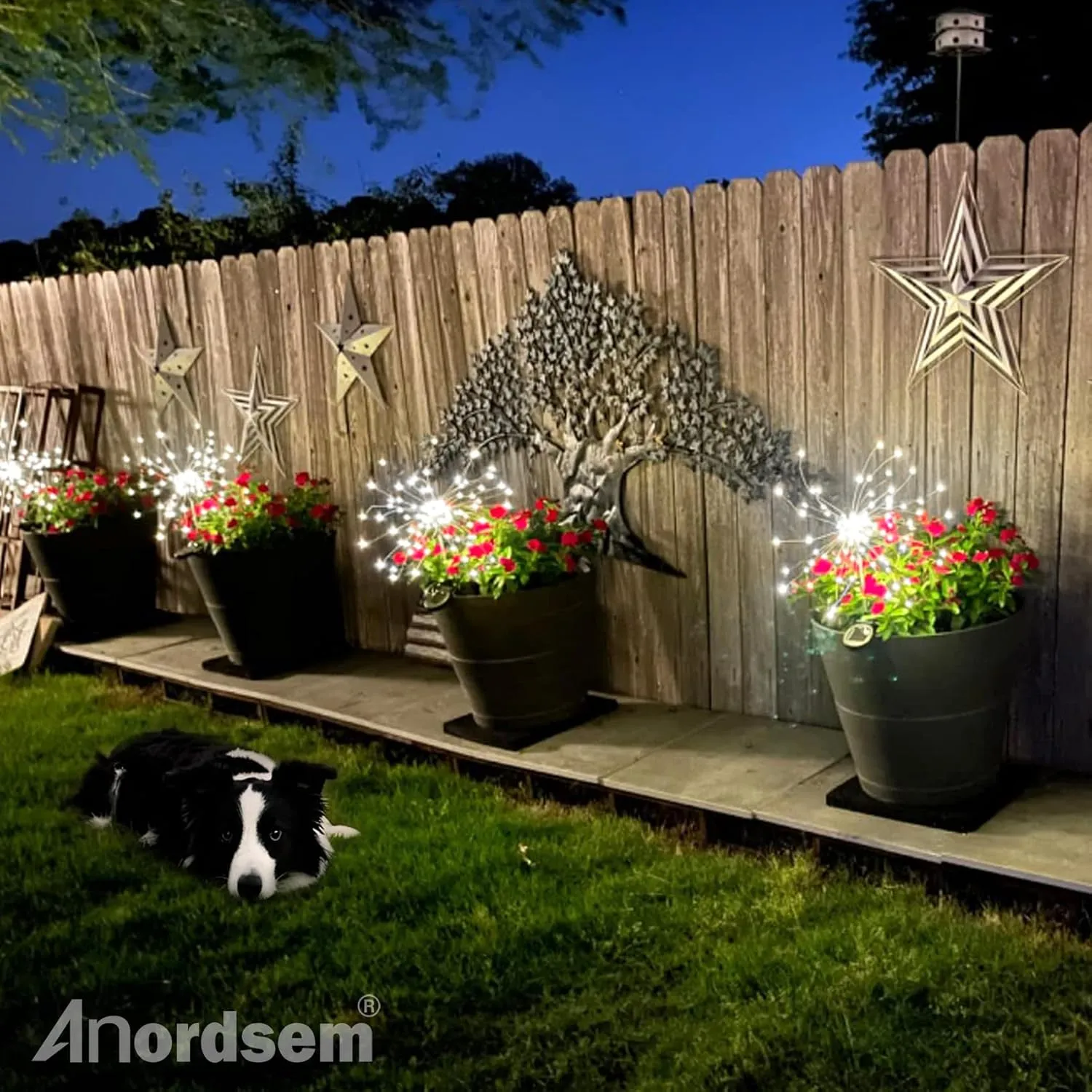 Anordsem Solar Fireworks Lights Outdoor: Garden Light Waterproof for Yard Outside - LED Starburst White Lighting Patio Path Decor 4 Pack - Sparkler Gardening Gifts for Women Mom Grandma