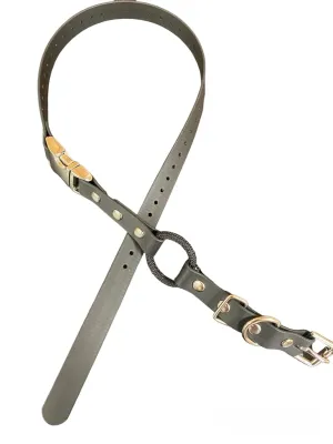 Dogtra 1900S Remote Dog Training Collar with Free Quick Snap Bungee Collar