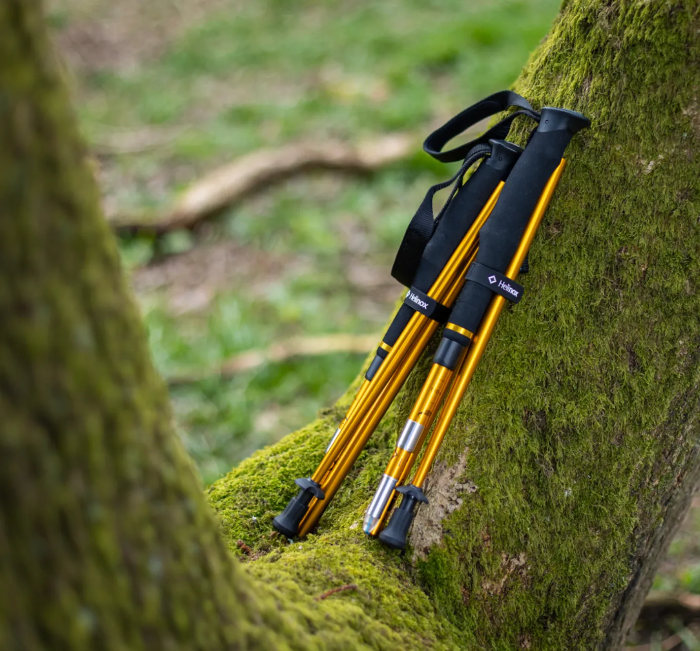 Helinox Passport TL130 Adjustable (Pair)