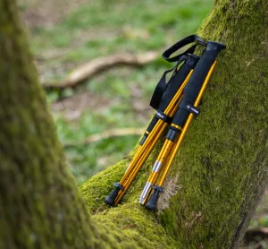 Helinox Passport TL130 Adjustable (Pair)