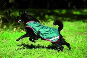 Horseware Rambo Waterproof Dog Rug 100g