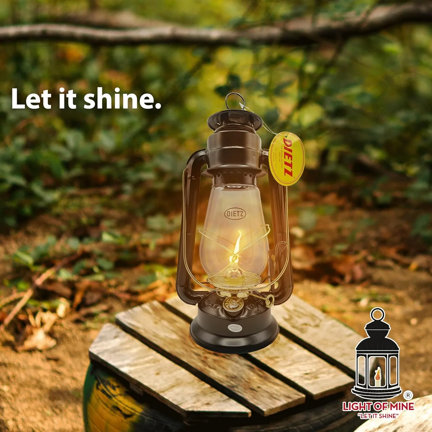 Light of Mine - Dietz Oil Lantern Replacement Kit Including #20 Junior Globe and Replacement 5/8" Wick Strips