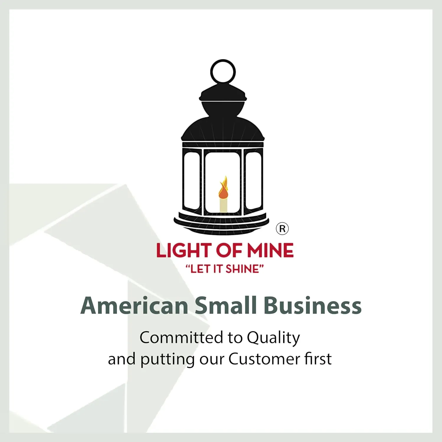 Light of Mine - Dietz Oil Lantern Replacement Kit Including #20 Junior Globe and Replacement 5/8" Wick Strips
