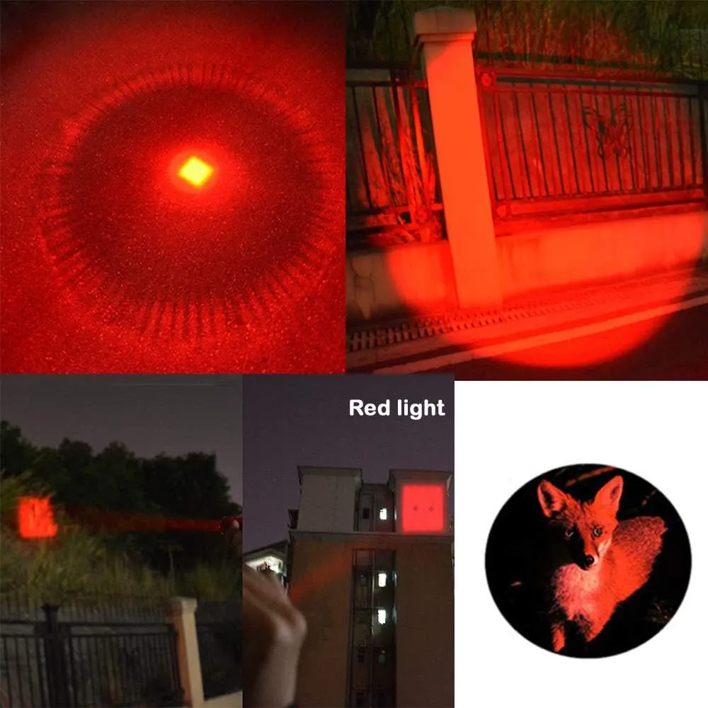 Multicolored 3-Mode Flashlight: Red, Green, Blue, UV & White LED Lights (Pack of 5)