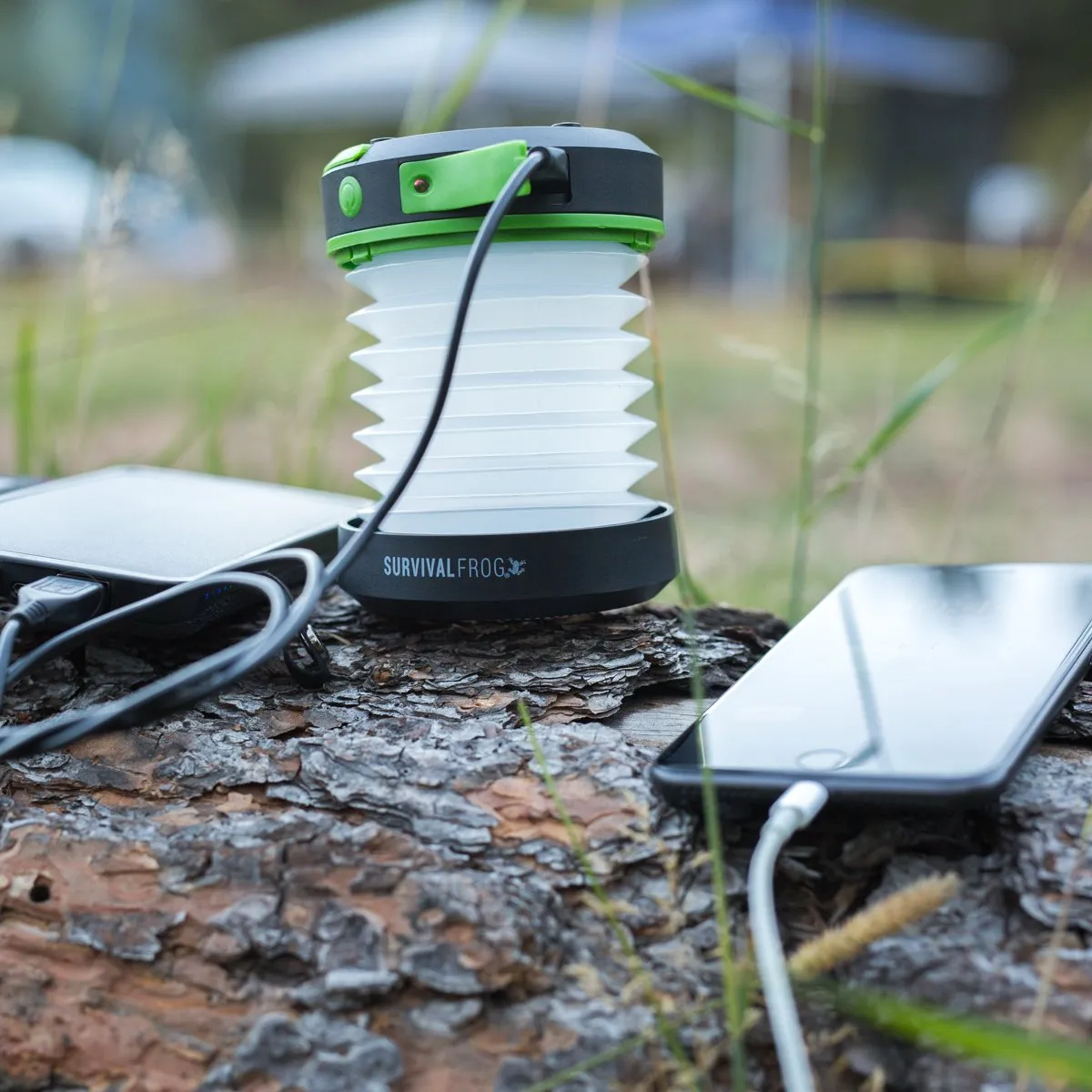 Pocket Light Collapsible Solar Lantern Rechargeable LED Light, Portable Power Bank with USB Charging Port by Frog & CO
