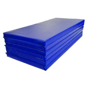 Professional Gym Mats - Folding & Flat Versions