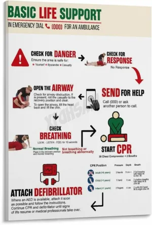Recognize And Act First Aid Posters First Aid Knowledge Poster (4) Canvas for Bedroom Living Room Decor 12x18inch(30x45cm) Frame-style