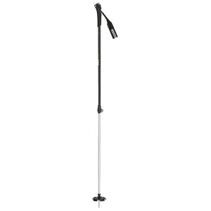 Rossignol BC 100 Adjustable Poles