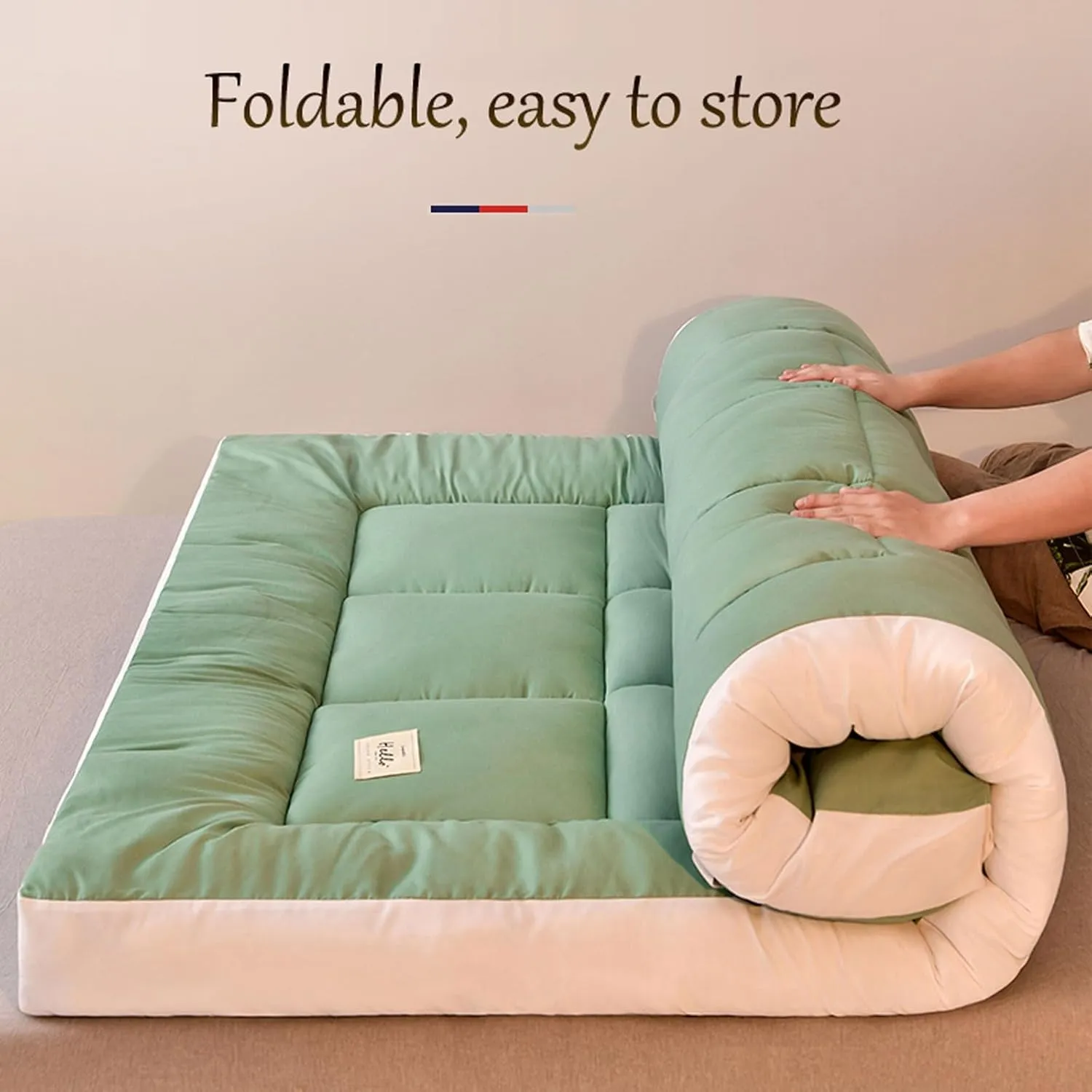 Thicken Japanese Floor Mattress,Soft Sofa Bed,roll Up Futon Mattress,Foldable Guest Mat for Floor,Plush Futon,Portable Dormitory Mat,Travel Camping(B,Twin(35.4"X80"))